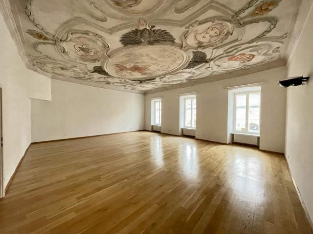 Etagenwohnung mieten in Mödling