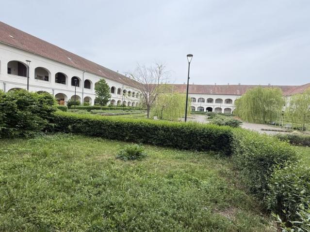 Apartment mieten in Neusiedl am See