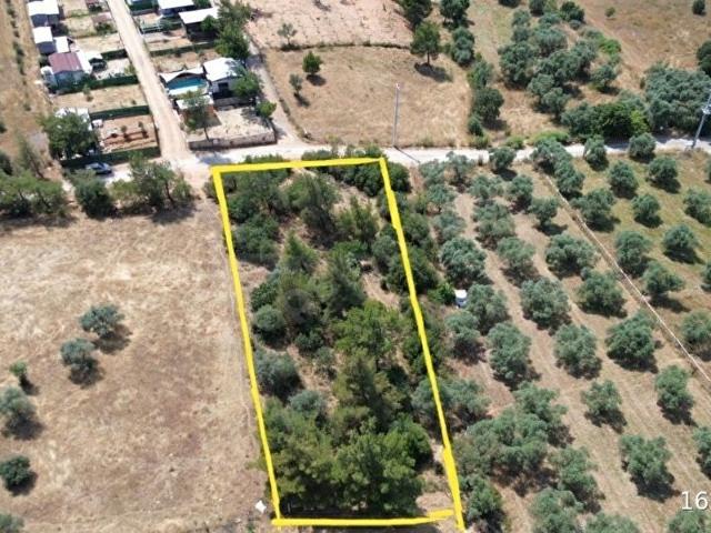 Torbali, İzmir içerisinde satılık Arsa