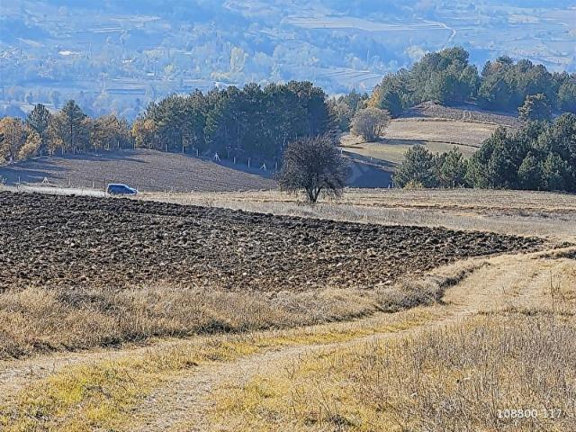 Gölpazari, Bilecik içerisinde satılık Arsa