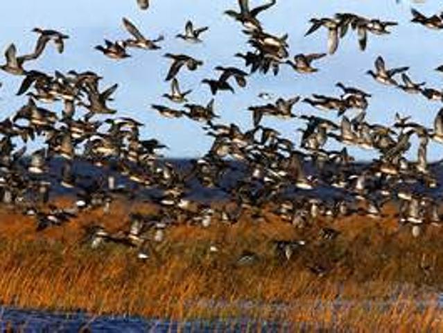 Property for sale in Grosse Pointe, Michigan