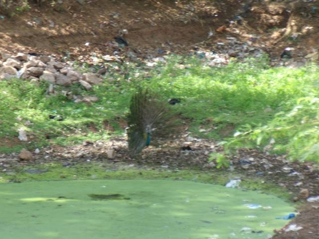 Commercial for sale in Pondicherry, Union Territory Of Puducherry