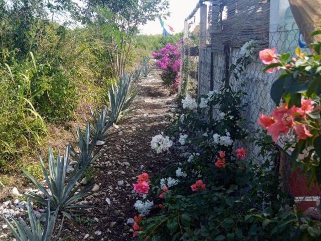 Resort Style Business in Telchac Pueblo $400K