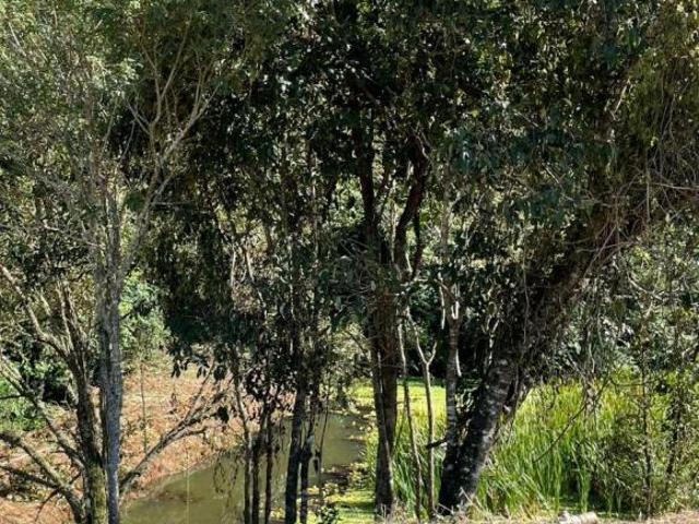 Terreno venda em Região Imediata de Sorocaba, Região Metropolitana de Sorocaba