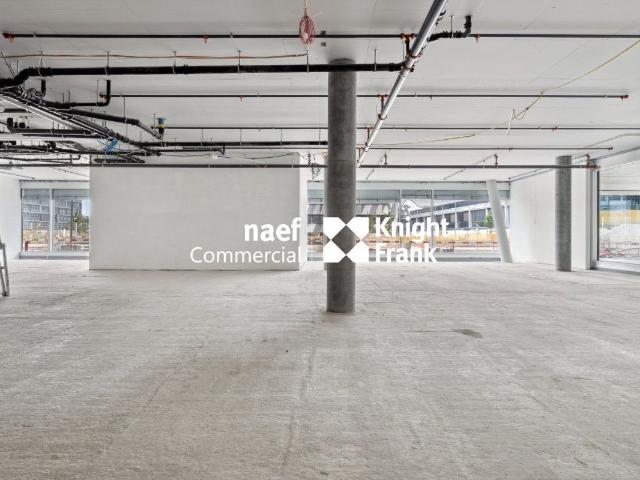 Atelier kaufen in Plan-les-Ouates