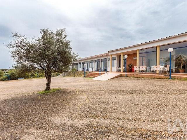 Loja venda em Calçadinha, Elvas