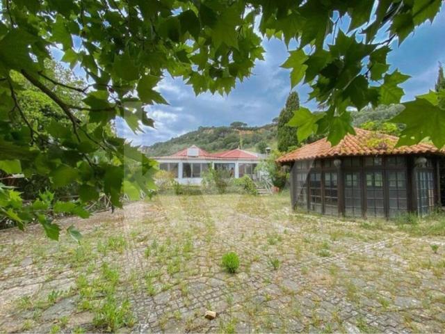 Loja venda em Grelhal, Setúbal
