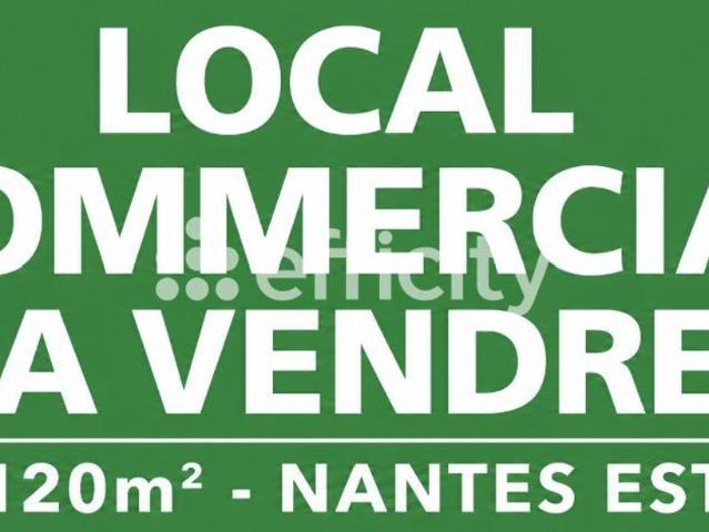 Local Commercial vente à Nantes, Thouaré-sur-loire