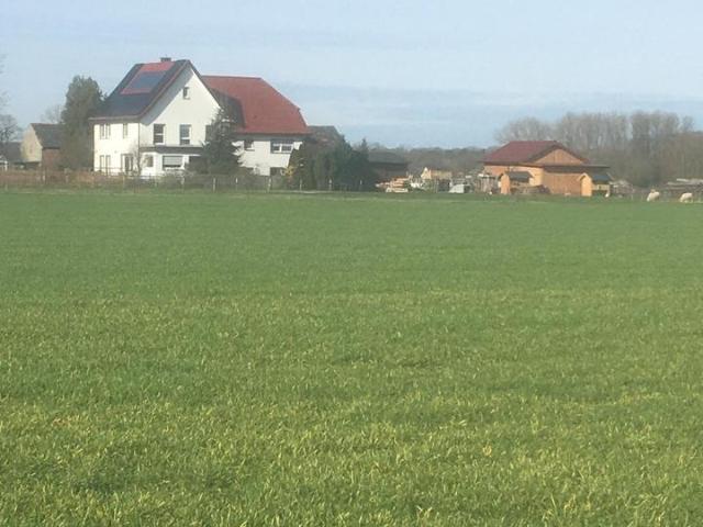 Haus kaufen in Lippetal, Nordrhein-Westfalen