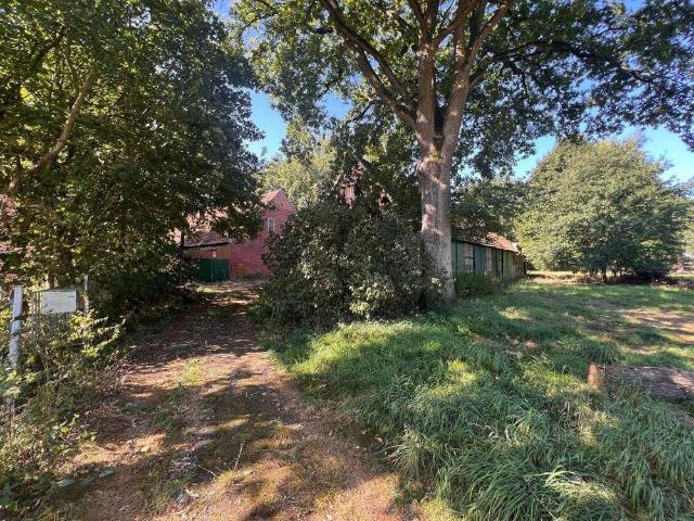 Haus kaufen in Ladbergen, Nordrhein-Westfalen