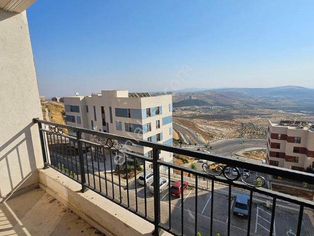 Kilis Merkez, Kilis içerisinde kiralık mülk
