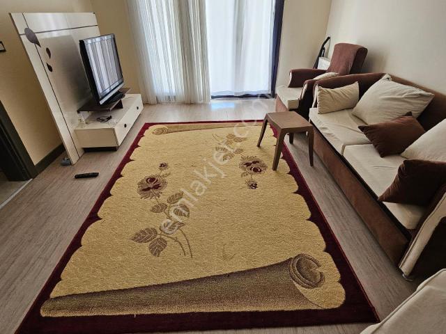 Kilis Merkez, Kilis içerisinde kiralık mülk