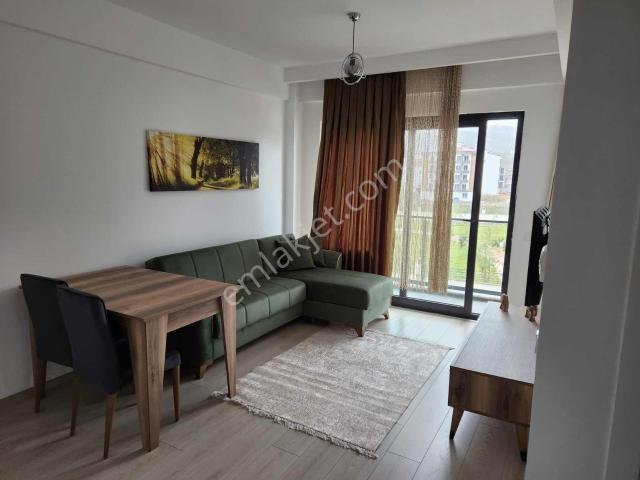 Ordu içerisinde kiralık mülk