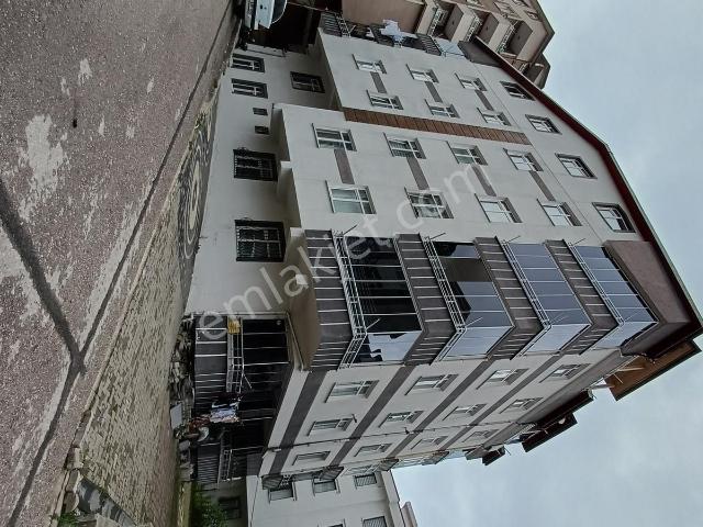Ordu içerisinde kiralık mülk