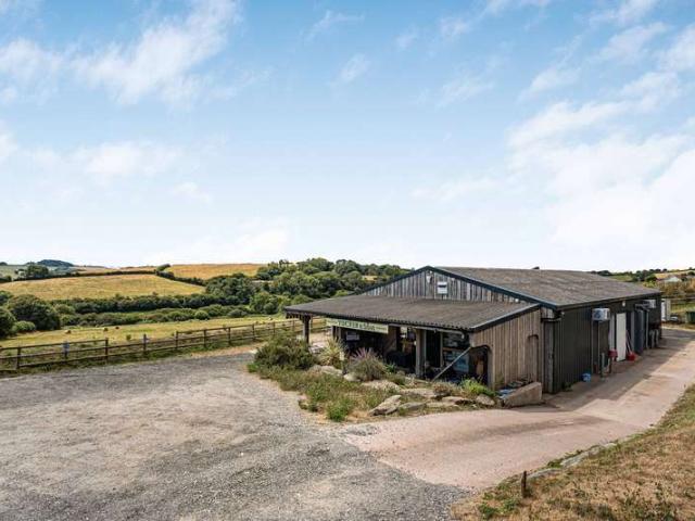 Commercial for sale in Strode, Devon