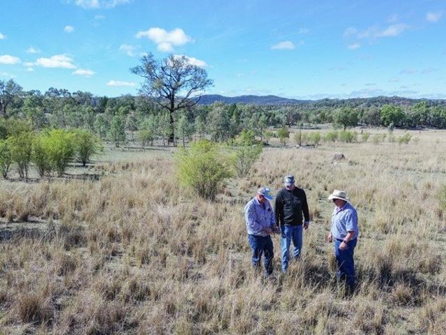 Acreage for sale in Atholwood, New South Wales