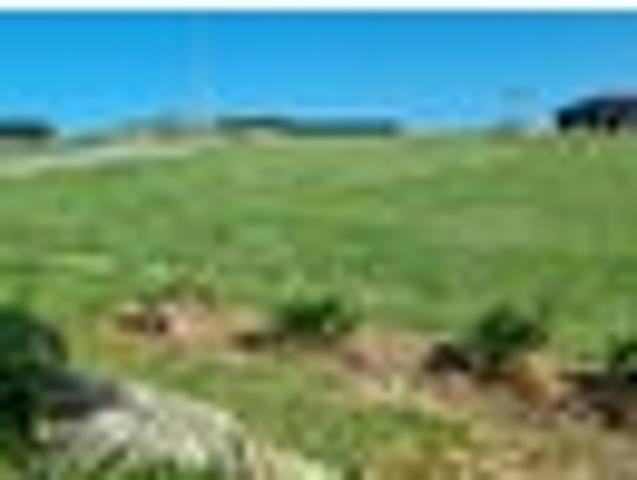 Land for sale in Longwood, Southland