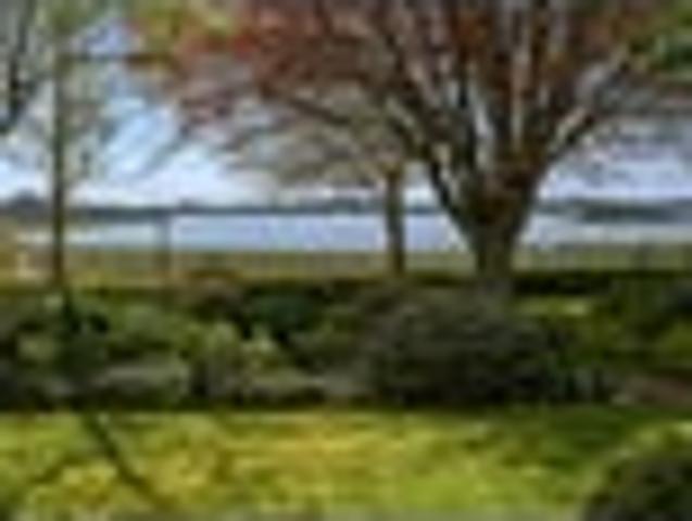 House for sale in Omokoroa, Bay Of Plenty