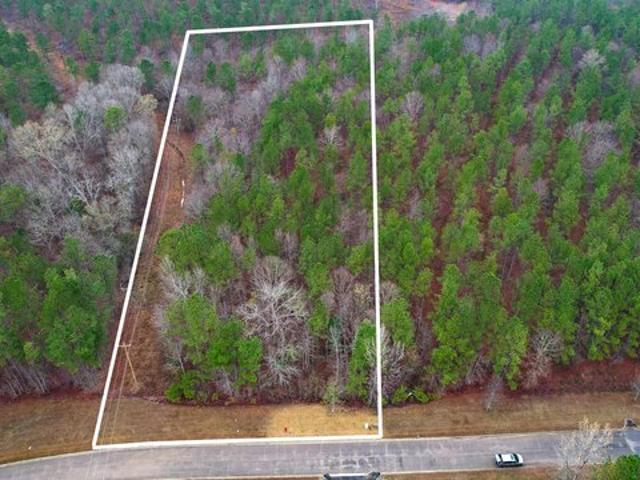 Land for sale in Ridgeway, South Carolina