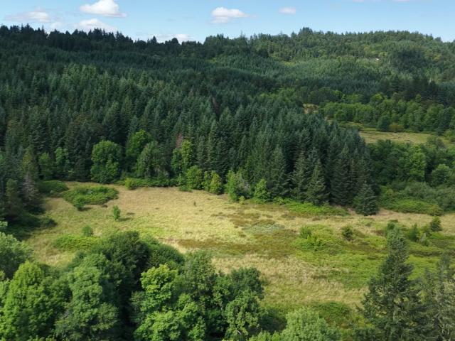Land for sale in Dallas, Polk County