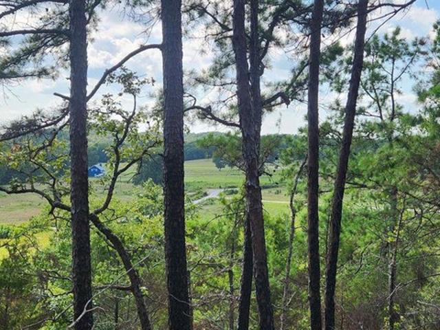 Land for sale in Ark