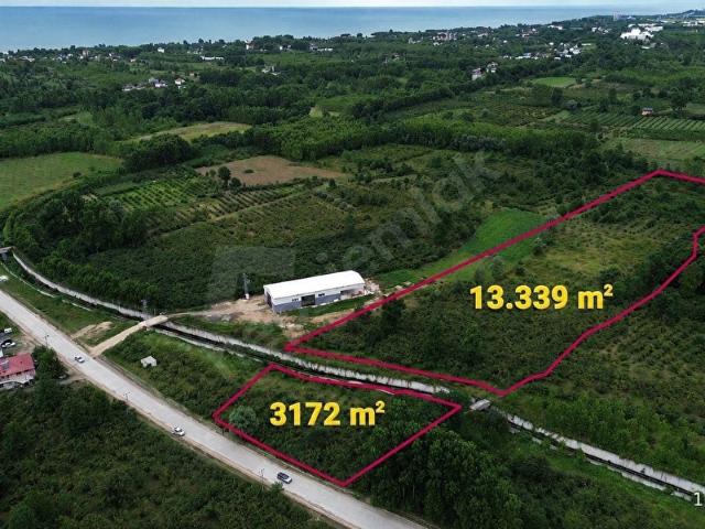 Kozluk, Terme içerisinde satılık Arsa