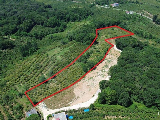 Sahilköy Mahallesi, Ünye içerisinde satılık mülk