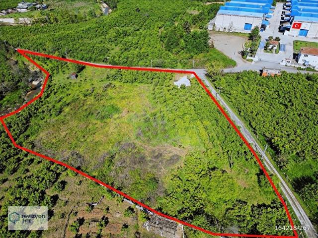 Ordu içerisinde satılık Arsa