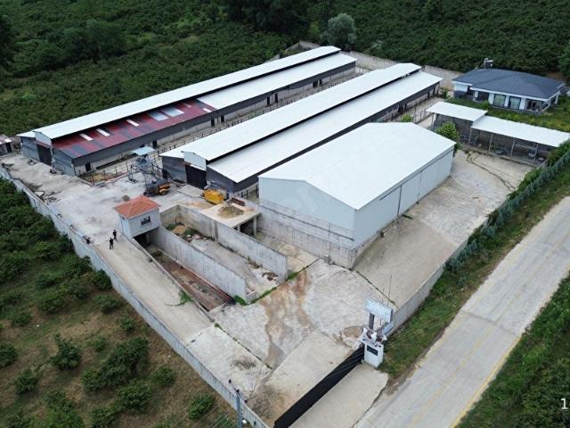 Cılar, Terme içerisinde satılık Fabrika
