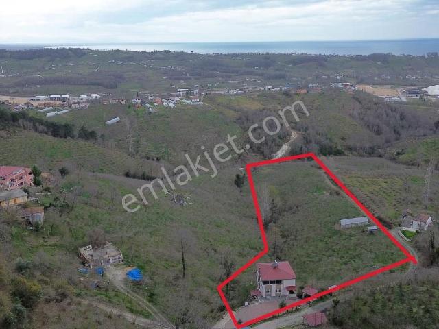 Ordu içerisinde satılık Villa