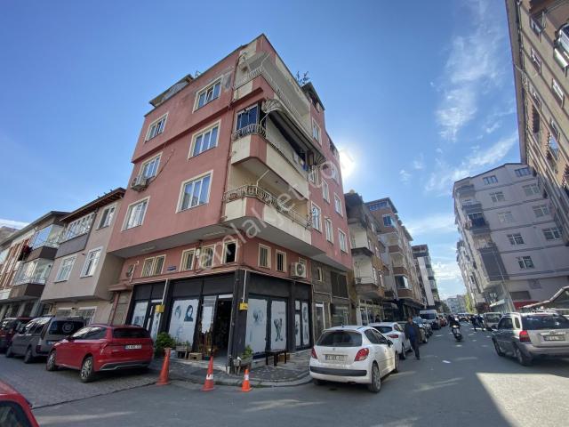 Liseler Mahallesi, Ünye içerisinde kiralık mülk