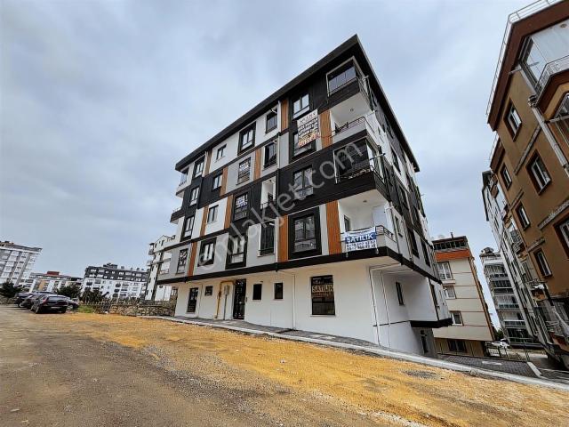 Ordu içerisinde kiralık mülk