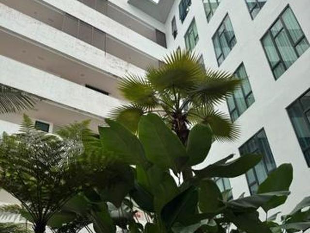 Apartment for rent in Kuching, Sarawak