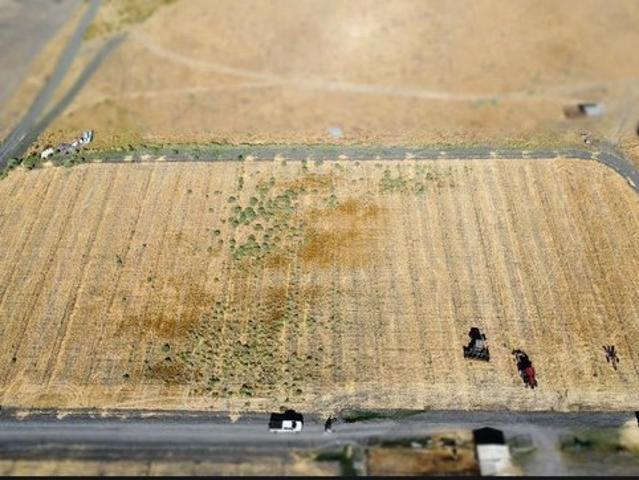 Land for sale in Dos Palos, California