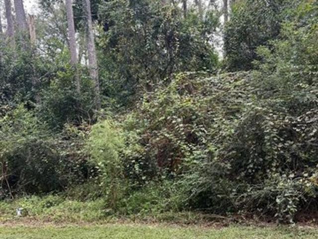 Land for sale in Broxton, Coffee County