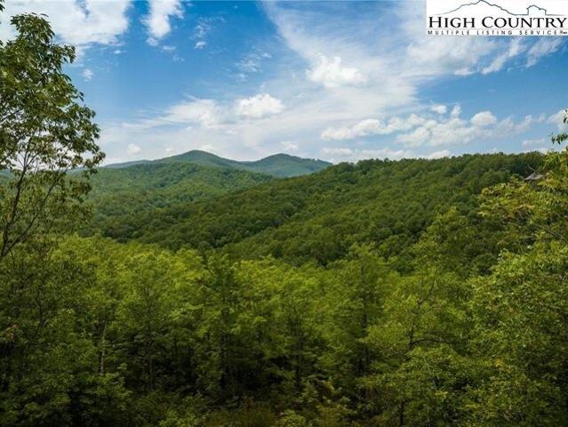 Land for sale in Boone Land for sale in Boone