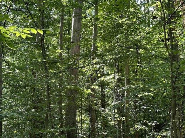 Land for sale in Coal City