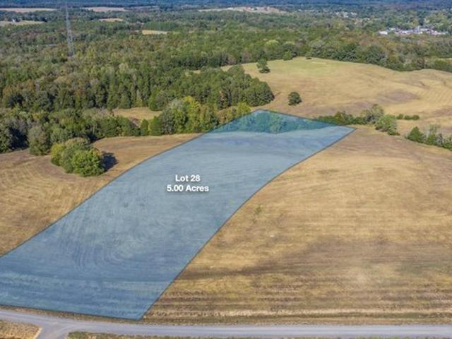 Land for sale in Quitman, Cleburne County