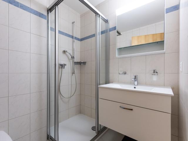 Apartment kaufen in Mollens (VS)