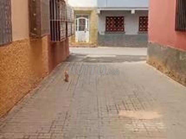 Appartement vente à Meknès