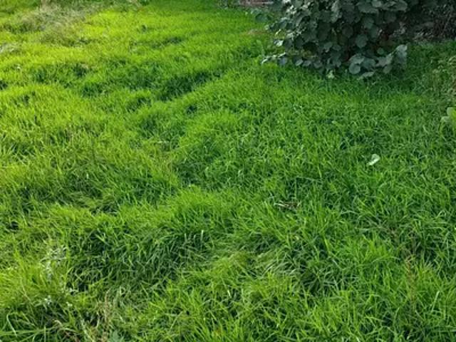 Terrain vente à Nantes, Rezé