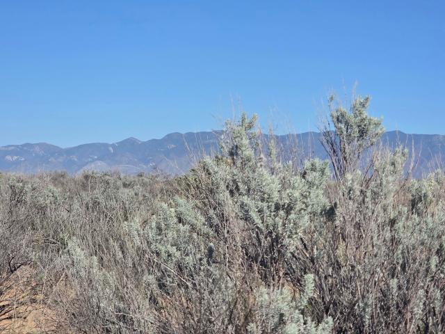 Land for sale in Belen, Valencia County