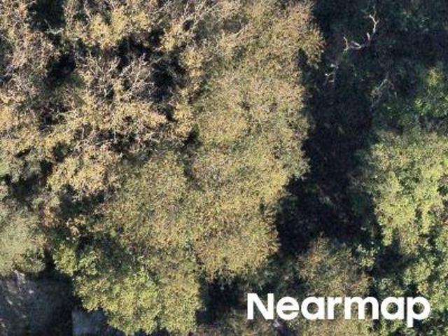 Land for sale in Vermilion, Illinois