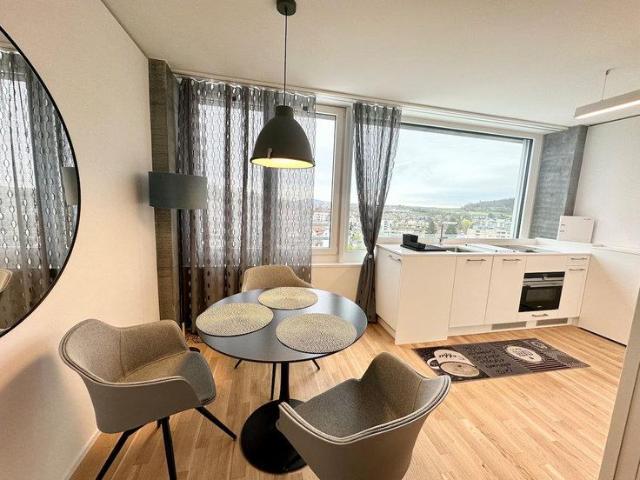 Studio mieten in Neuhausen, Schaffhausen