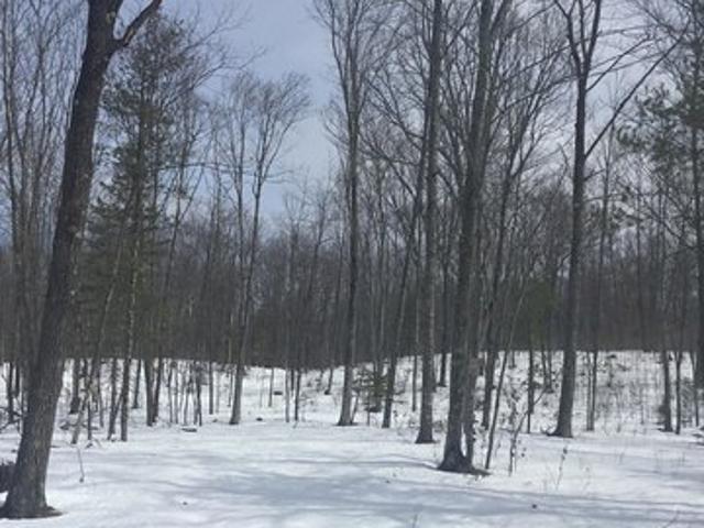 Land for sale in Wausaukee, Wisconsin