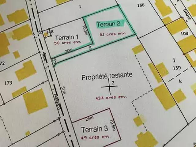 Terrain vente à Rhinau, Collectivité européenne d'Alsace