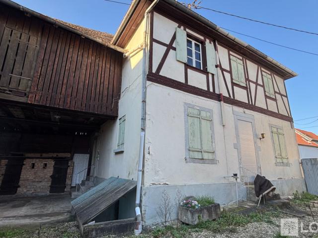 Maison vente à Sélestat-Erstein, Rhinau
