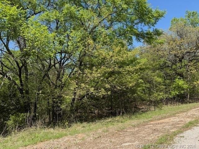 Land for sale in Burneyville, Oklahoma