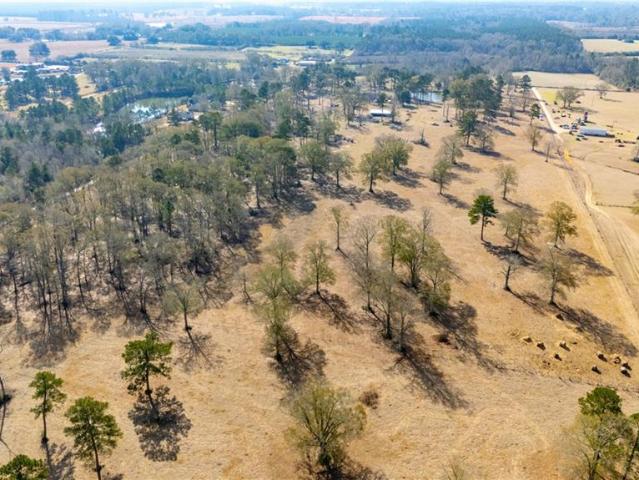 Land for sale in Amite, Louisiana