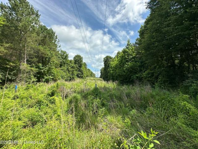 Land for sale in Crystal Springs, Mississippi